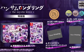 Download Handsome Laundering: The Mystic Lover XCI Full Game
