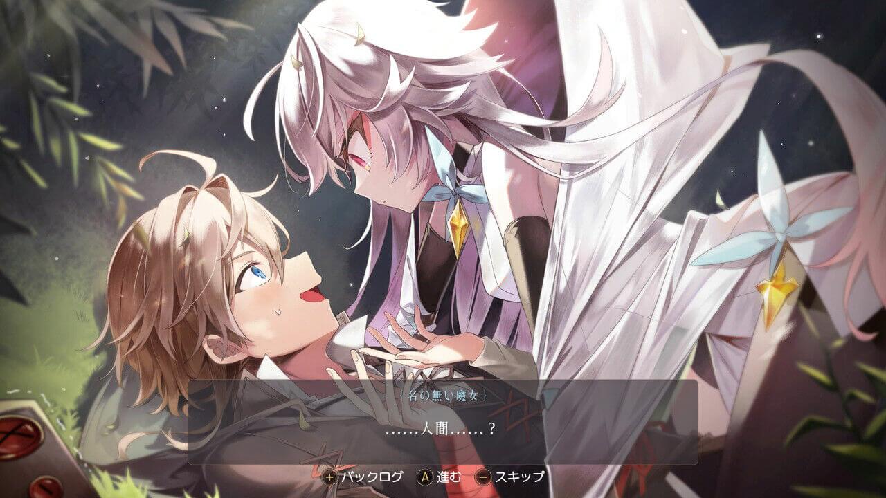 Download WitchSpring3 [Re:Fine] – The Story of Eirudy NSP Full Game + DLC